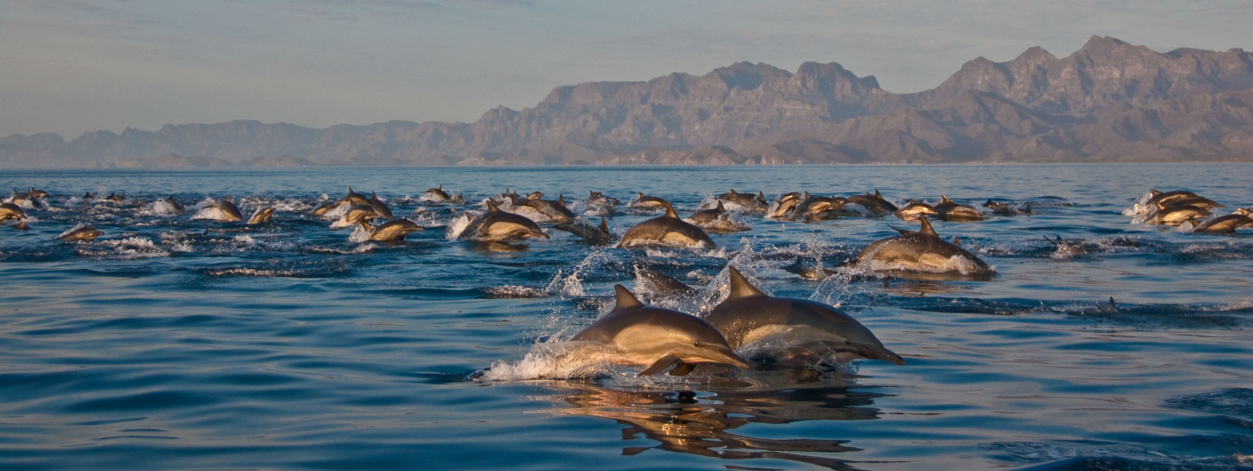 🌊 En Loreto… el lujo está en su naturaleza.